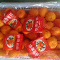 Golde Supplier of Sweet Baby Mandarin